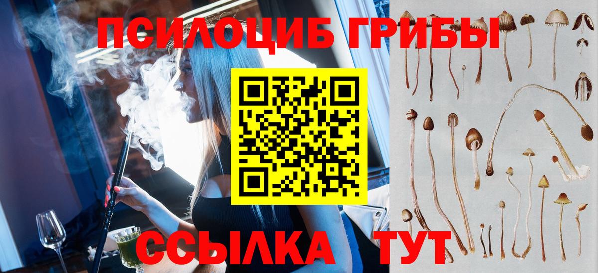 сколько стоит  Вход с VPN  Новокуйбышевск  Псилоцибиновые грибы GOLDEN TEACHER 